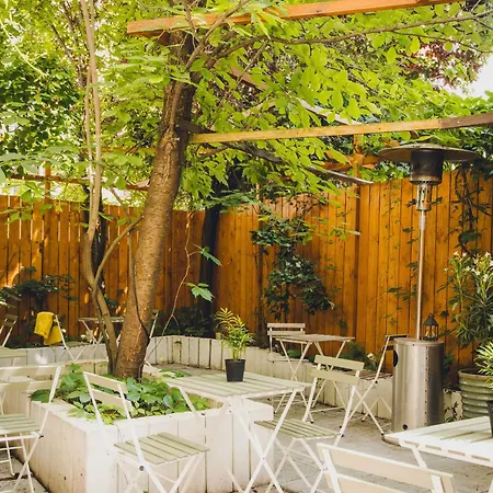 Cos Zydowska 33 * Poznaň