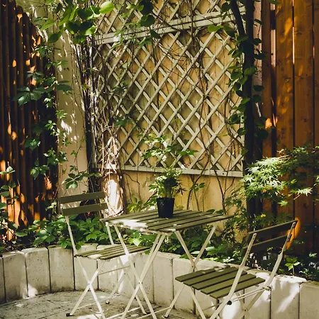 Cos Zydowska 33 Poznań